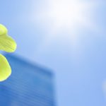 Adobe Stock Images