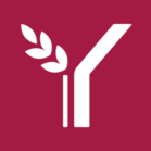 Young UN: Agents for Change : 